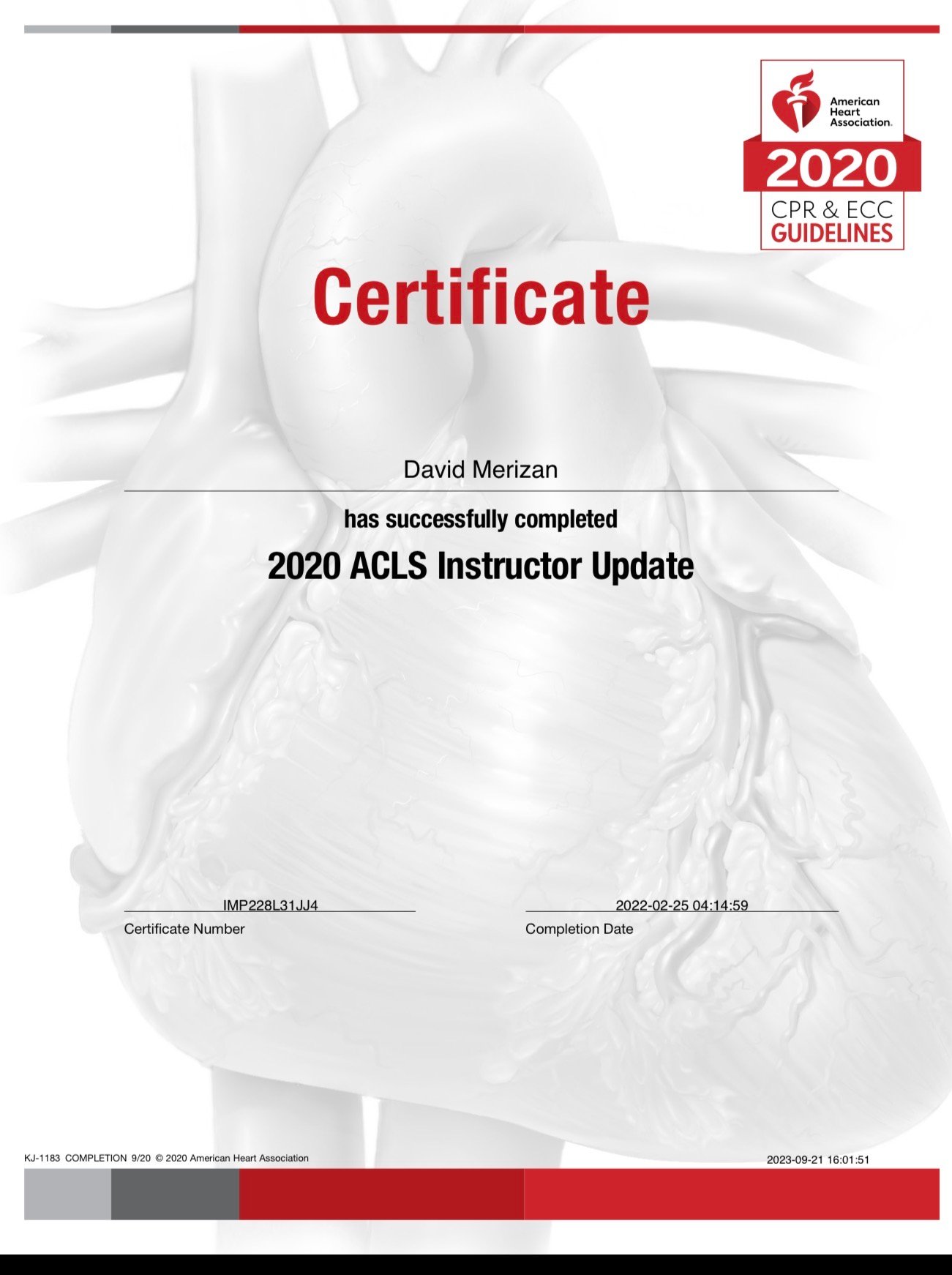 קורס מדריך דוד מריזן